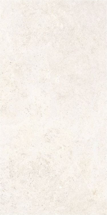 OL Limestone Bianco Matte 24 x 48